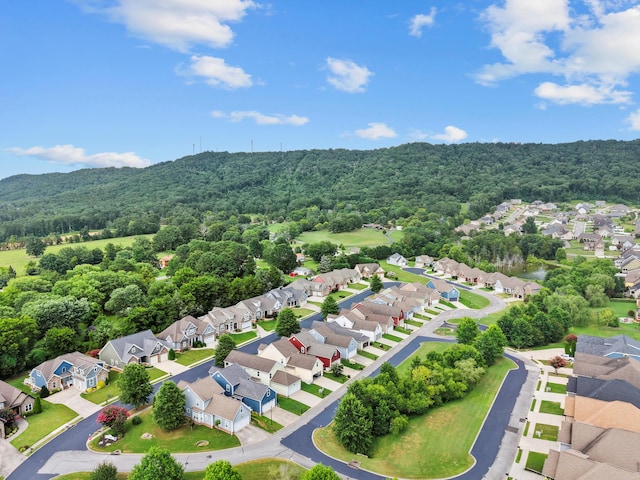 8833 Wilson Creek Dr, Ooltewah, TN 37363 - photo 42