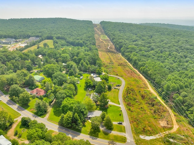 206 Arvle York Cir, Lookout Mountain, GA 30750