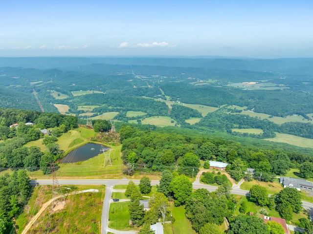 206 Arvle York Cir, Lookout Mountain, GA 30750
