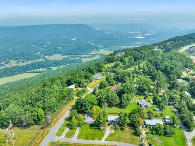 206 Arvle York Cir, Lookout Mountain, GA 30750