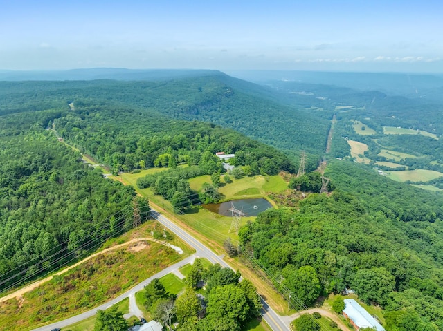 206 Arvle York Cir, Lookout Mountain, GA 30750