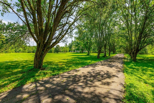 11216 Ooltewah Georgetown Rd, Georgetown, TN 37336 - view of home's community featuring a lawn