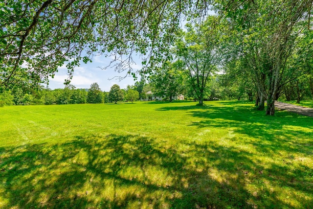 11216 Ooltewah Georgetown Rd, Georgetown, TN 37336 - view of grassy yard