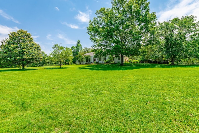 11216 Ooltewah Georgetown Rd, Georgetown, TN 37336 - view of grassy yard