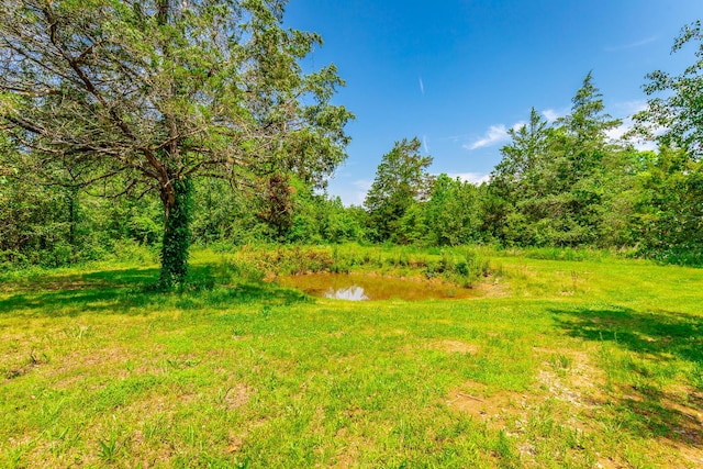 11216 Ooltewah Georgetown Rd, Georgetown, TN 37336 - view of yard