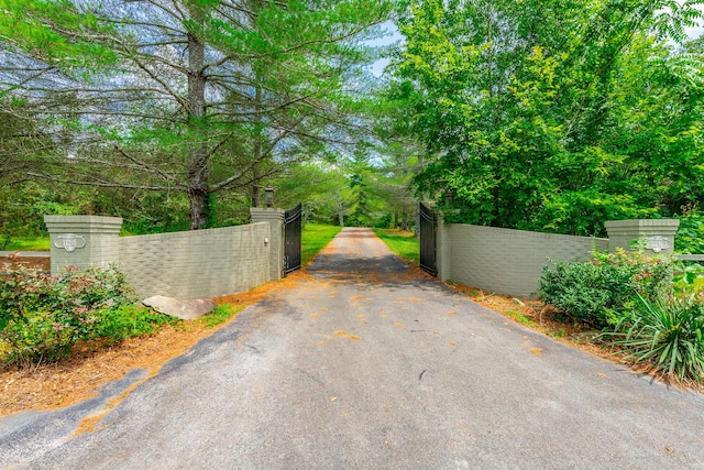 11216 Ooltewah Georgetown Rd, Georgetown, TN 37336 - view of asphalt driveway with a gate