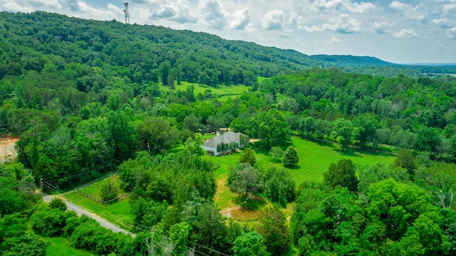 11216 Ooltewah Georgetown Rd, Georgetown, TN 37336 - aerial view of a forest