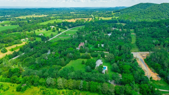 11216 Ooltewah Georgetown Rd, Georgetown, TN 37336 - aerial view of property's location featuring rural landscape and a heavily wooded area