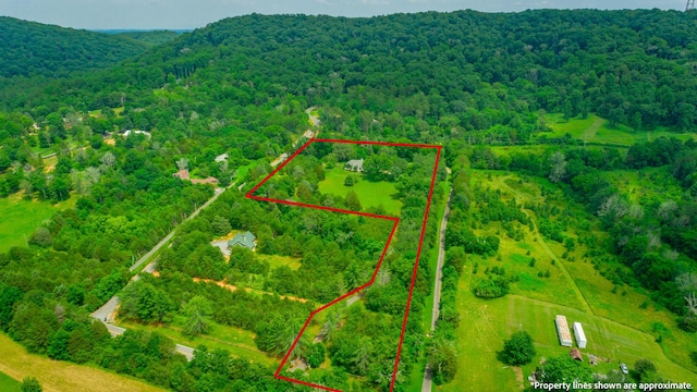 11216 Ooltewah Georgetown Rd, Georgetown, TN 37336 - view of rural area with property parcel outlined