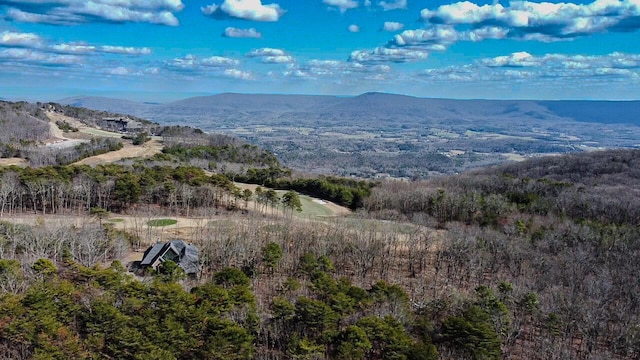 I-3 Arrow Ranch Rd, Rising Fawn, GA 30738