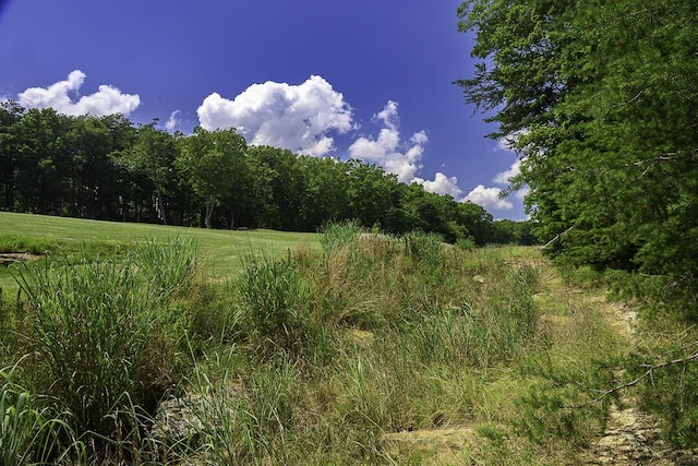 I-3 Arrow Ranch Rd, Rising Fawn, GA 30738 - photo 2