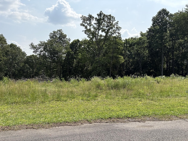 LOT1 Robbie Dr, Whitwell, TN 37397