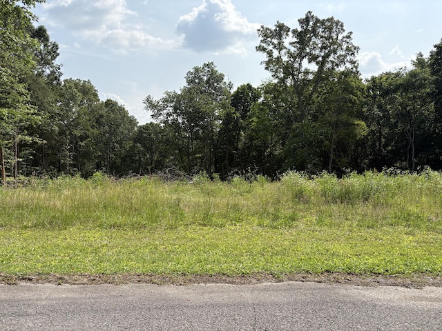 LOT1 Robbie Dr, Whitwell, TN 37397