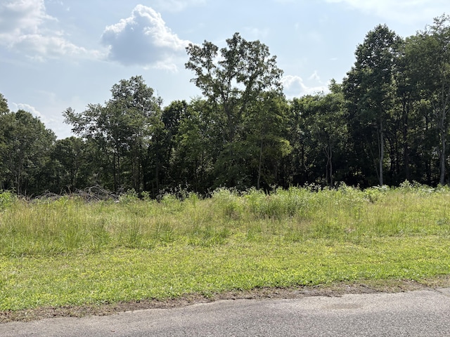 LOT1 Robbie Dr, Whitwell, TN 37397