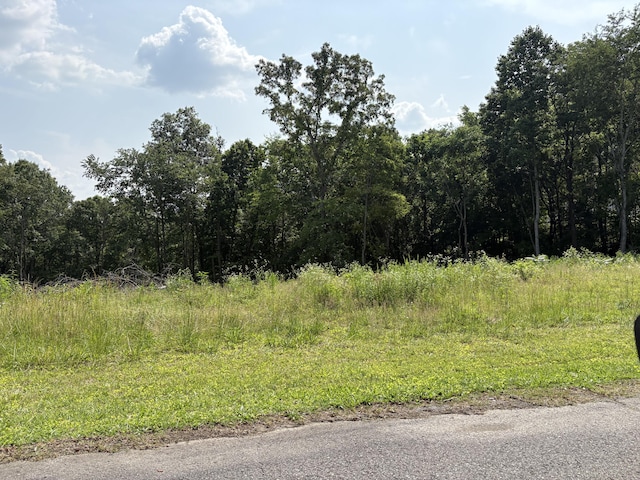LOT1 Robbie Dr, Whitwell, TN 37397