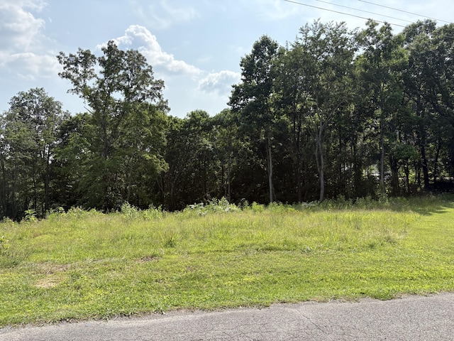 LOT1 Robbie Dr, Whitwell, TN 37397