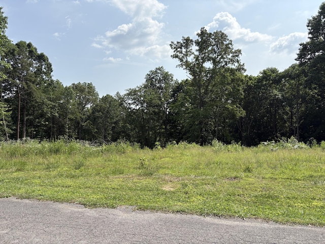 LOT1 Robbie Dr, Whitwell, TN 37397