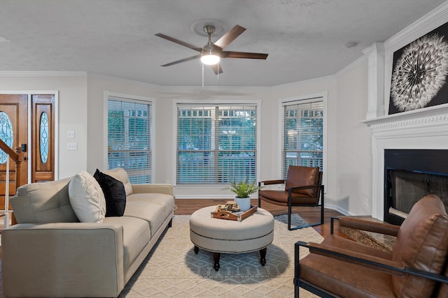 8512 Creek Stone Dr, Chattanooga, TN 37421 - living room featuring wood finished floors, ceiling fan, crown molding, a textured ceiling, and a fireplace