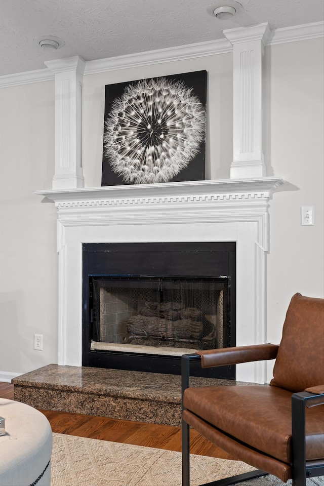 8512 Creek Stone Dr, Chattanooga, TN 37421 - detailed view of a large fireplace, ornamental molding, and wood finished floors