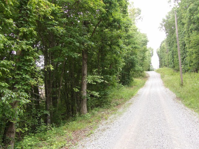 LOT10 Hughes Cementery Rd, Evensville, TN 37332 - photo 15