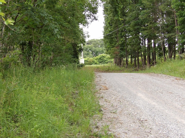 LOT10 Hughes Cementery Rd, Evensville, TN 37332 - photo 1