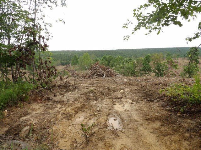 LOT10 Hughes Cementery Rd, Evensville, TN 37332 - photo 5