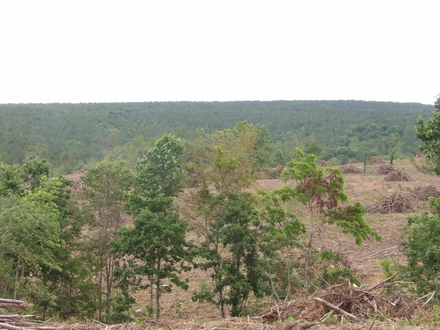 LOT10 Hughes Cementery Rd, Evensville, TN 37332 - photo 6