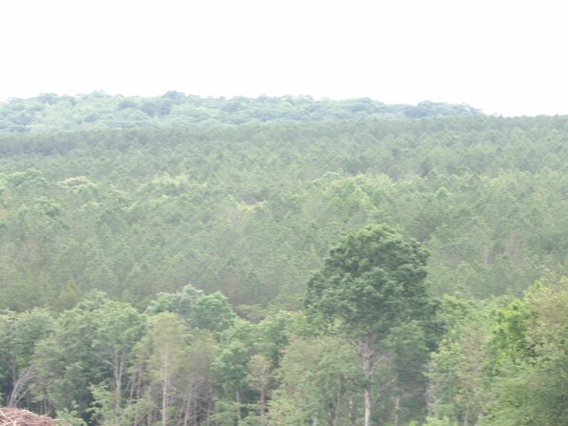 LOT10 Hughes Cementery Rd, Evensville, TN 37332 - photo 7