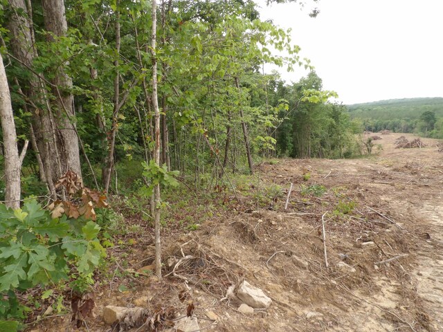 LOT10 Hughes Cementery Rd, Evensville, TN 37332 - photo 8