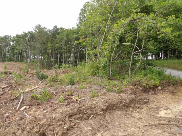 LOT10 Hughes Cementery Rd, Evensville, TN 37332 - photo 9