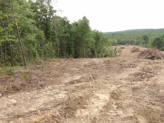LOT10 Hughes Cementery Rd, Evensville, TN 37332 - photo 11