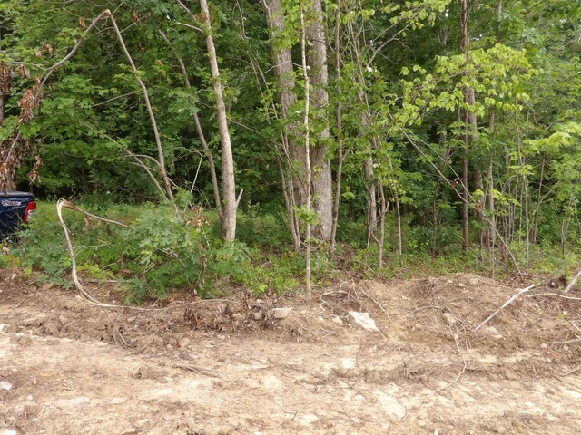 LOT10 Hughes Cementery Rd, Evensville, TN 37332 - photo 12