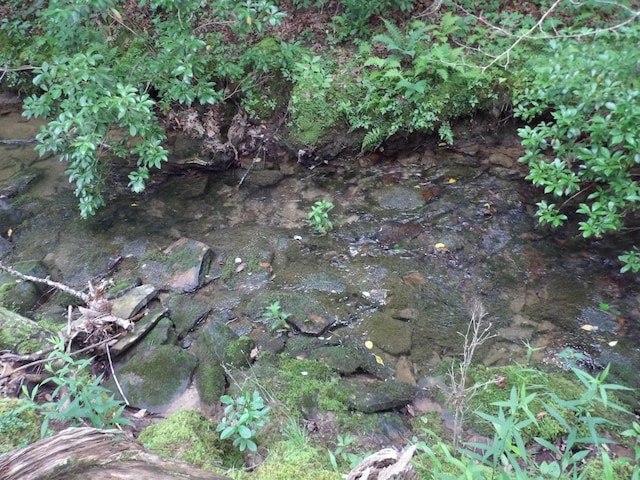 LOT10 Hughes Cementery Rd, Evensville, TN 37332 - photo 2