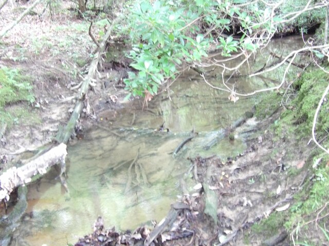 LOT10 Hughes Cementery Rd, Evensville, TN 37332 - photo 14
