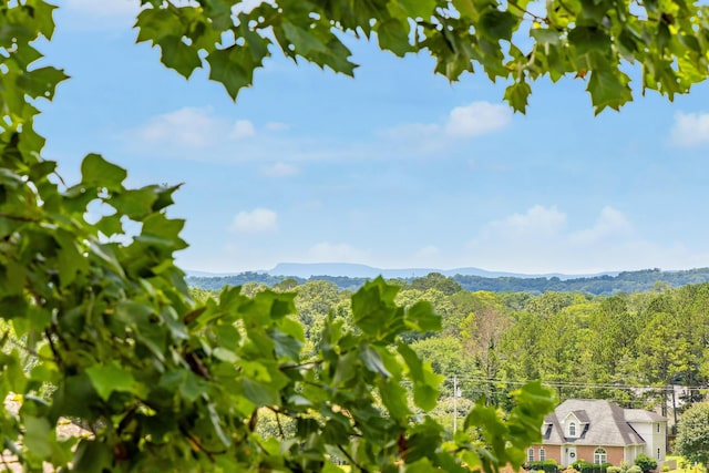 750 Windrush Loop, Chattanooga, TN 37421 - view of mountain backdrop with a heavily wooded area