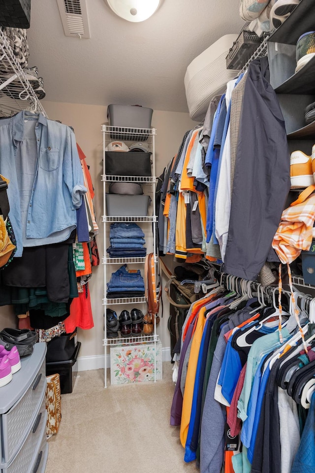 750 Windrush Loop, Chattanooga, TN 37421 - spacious closet featuring carpet flooring