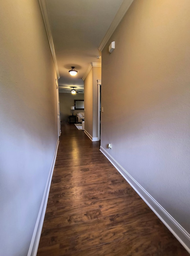 179 Trade Wind Dr, Fort Oglethorpe, GA 30742 - hallway featuring crown molding and dark wood-style flooring