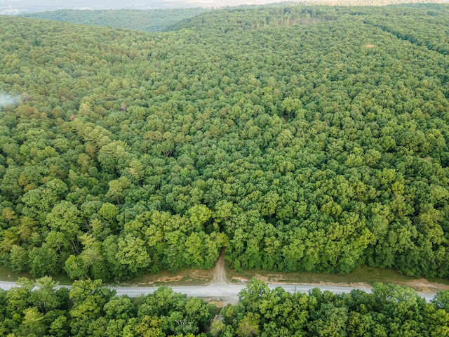 0 Lou Rd, Pikeville, TN 37367 - photo 4