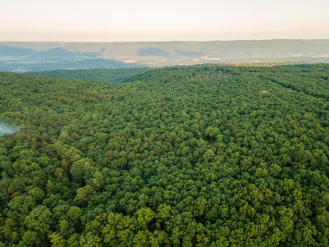 0 Lou Rd, Pikeville, TN 37367 - photo 5