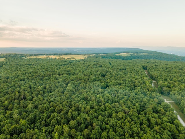 0 Lou Rd, Pikeville, TN 37367 - photo 7