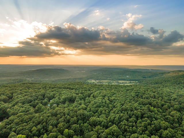 0 Lou Rd, Pikeville, TN 37367 - photo 8