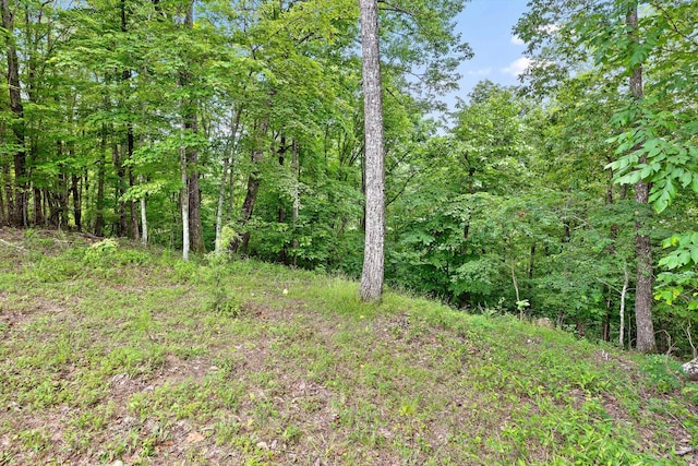 0 Preservation Dr Unit 29, South Pittsburg, TN 37380
