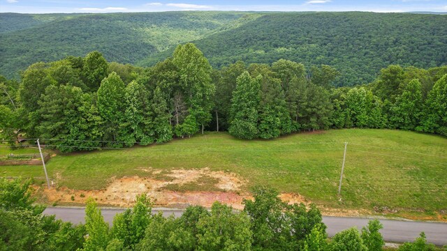 0 Preservation Dr Unit 29, South Pittsburg, TN 37380