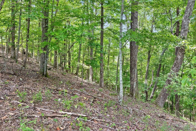 0 Preservation Dr Unit 29, South Pittsburg, TN 37380