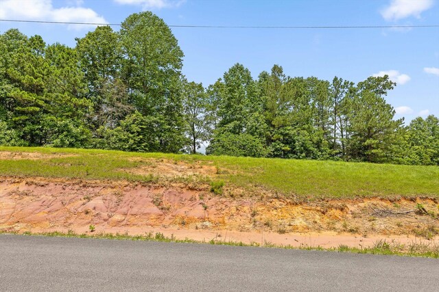 0 Preservation Dr Unit 29, South Pittsburg, TN 37380