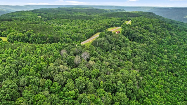 0 Preservation Dr Unit 29, South Pittsburg, TN 37380 - photo 16