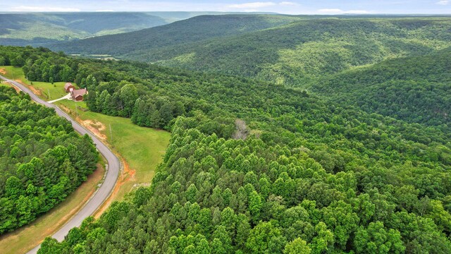 0 Preservation Dr Unit 29, South Pittsburg, TN 37380 - photo 18