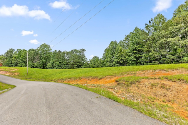 0 Preservation Dr Unit 29, South Pittsburg, TN 37380 - photo 20