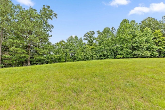 0 Preservation Dr Unit 29, South Pittsburg, TN 37380 - photo 23