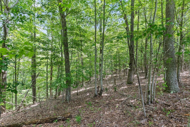 0 Preservation Dr Unit 29, South Pittsburg, TN 37380 - photo 27
